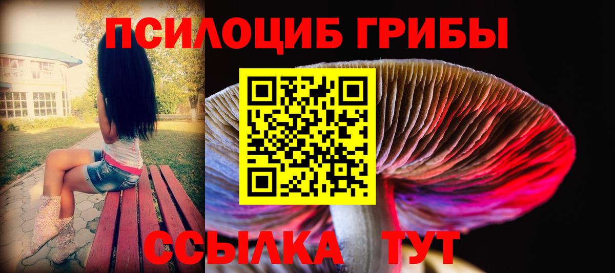 Псилоцибиновые грибы Magic Shrooms Артём